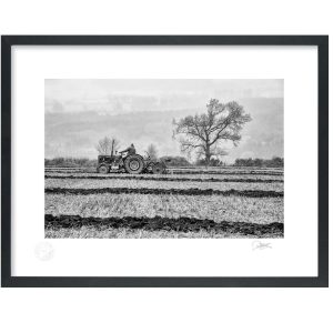 Ploughing in Ireland | Patrick Donald