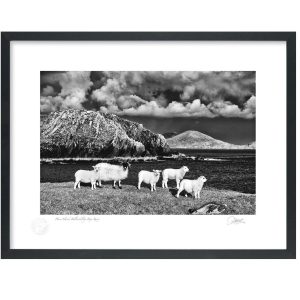 Horse Island, Ballinskelligs Bay, Co Kerry | Signature Print | Patrick Donald
