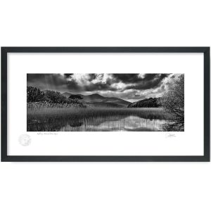 Killarney National Park, Kerry | Framed Print | Patrick Donald