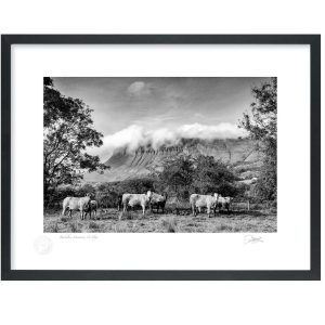 Benbulben Mountain, Co Sligo | Photograph | Patrick Donald