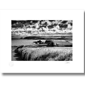 Copper Coast Drive, Waterford | Signature Print | Patrick Donald Copper Coast Drive, Waterford | Signature Print | Patrick Donald