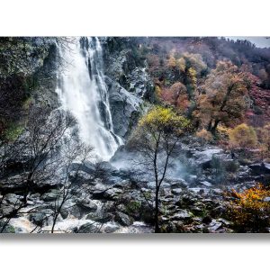 Powerscourt Waterfall, Co Wicklow | Acrylic Finish | Patrick Donald
