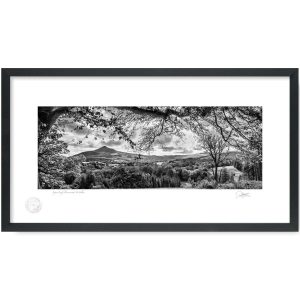 Sugar Loaf, Powerscourt, Wicklow | Patrick Donald Sugar Loaf, Powerscourt, Wicklow | Patrick Donald