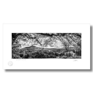 Sugar Loaf, Powerscourt, Wicklow | Patrick Donald Sugar Loaf, Powerscourt, Wicklow | Patrick Donald