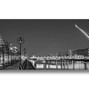 Samuel Beckett Bridge Dublin | Acrylic Finish | Patrick Donald