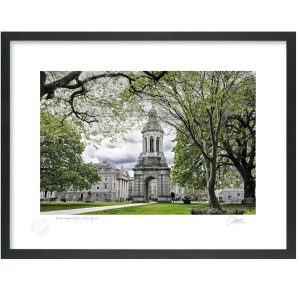 Trinity Campanile From Library Square | Signature Print | Patrick Donald