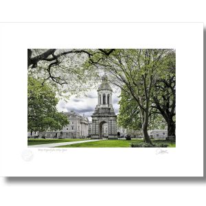 Trinity Campanile From Library Square | Signature Print | Patrick Donald