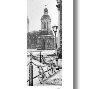Trinity College Campanile | Signature Print | Patrick Donald Trinity College Campanile | Signature Print | Patrick Donald