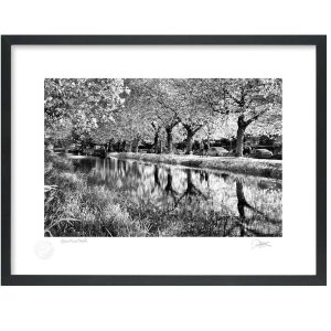 Grand Canal Dublin | Signature Print | Patrick Donald
