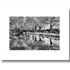Grand Canal Dublin | Signature Print | Patrick Donald