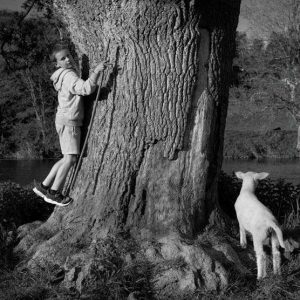 Oak by The River Nore | Limited Edition | Patrick Donald