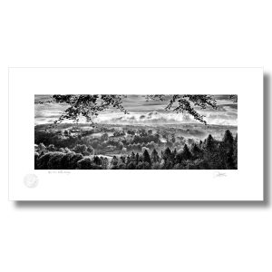 River Nore Valley, Inistioge | Patrick Donald