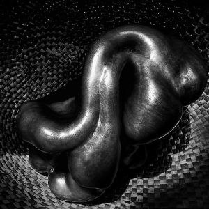 Green Pepper | Limited Edition | Patrick Donald Green Pepper | Limited Edition | Patrick Donald