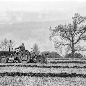 Ploughing in Ireland | Patrick Donald