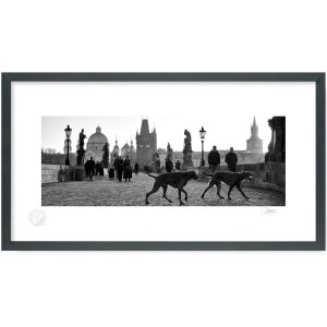 Dogs on Charles Bridge | Limited Edition | Patrick Donald