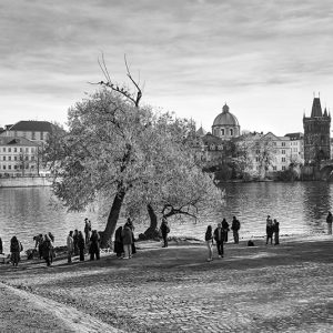 Along the Vitava River | Limited Edition | Patrick Donald