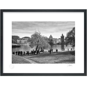 Along the Vitava River | Limited Edition | Patrick Donald