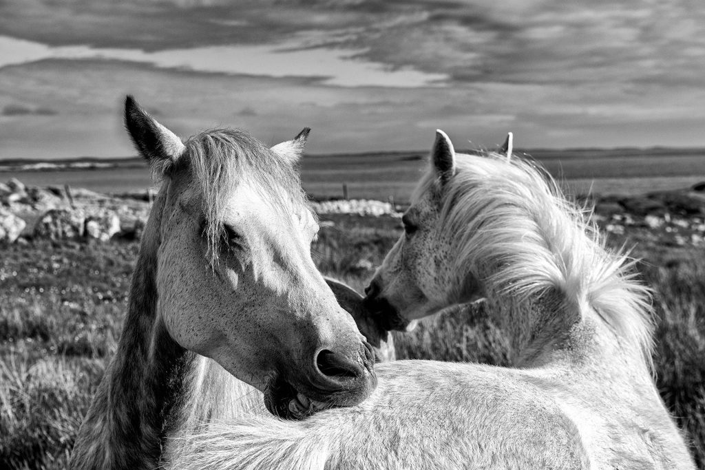 Our Purpose is To Add Value To Your Walls