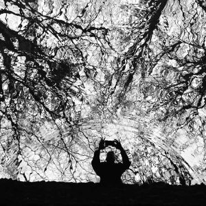 Ripples of Love and Appreciation of Nature | Patrick Donald Ripples of Love and Appreciation of Nature | Patrick Donald