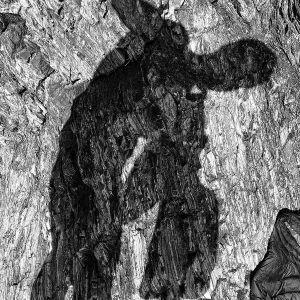 After Swim #2 | Patrick Donald After Swim #2 | Patrick Donald