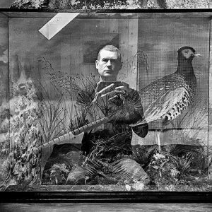 Taxidermy | Patrick Donald