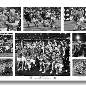 ‘Greatness’ Ireland v All Blacks | Rugby Photograph | Patrick Donald