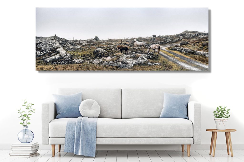 Fine Art Photography and Art are Valuable.