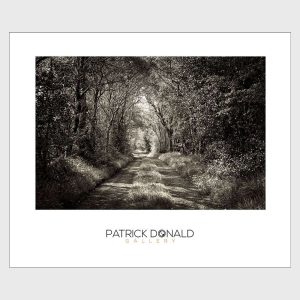 The Road Less Travelled | Poster | Patrick Donald The Road Less Travelled | Poster | Patrick Donald