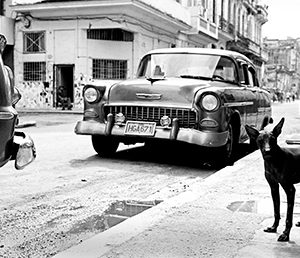 Street Scene Havana | Limited Edition | Patrick Donald Street Scene Havana | Limited Edition | Patrick Donald