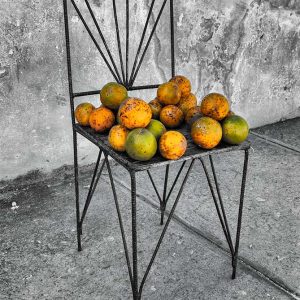 Oranges | Limited Edition | Patrick Donald