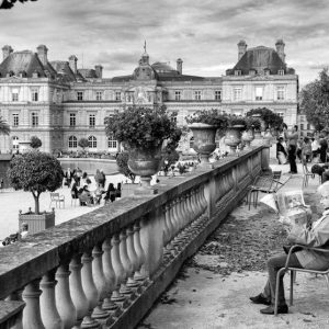 Jardin du Luxembourg, Paris | Limited Edition | Patrick Donald