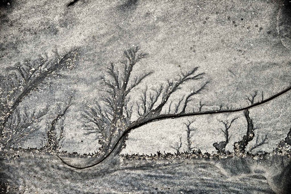 Why Choose Black and White Photography?