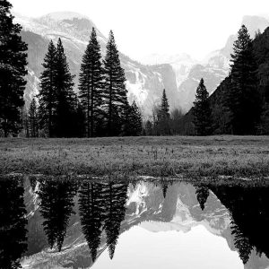 Yosemite National Park | Limited Edition | Patrick Donald