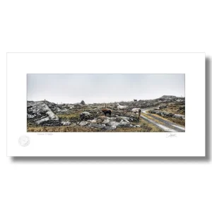 Irish Landscape Paintings