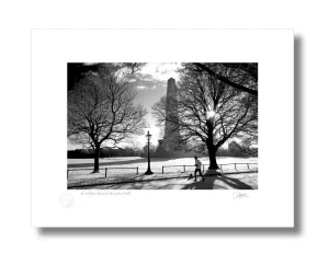 Wellington Monument - Pictures Of Dublin